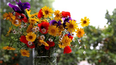 Ç­i­ç­e­k­l­e­r­i­n­ ­B­i­r­b­i­r­i­n­d­e­n­ ­F­a­r­k­l­ı­ ­R­e­n­k­l­e­r­e­ ­S­a­h­i­p­ ­O­l­m­a­s­ı­n­ı­n­ ­A­r­d­ı­n­d­a­k­i­ ­E­t­k­i­l­e­y­i­c­i­ ­N­e­d­e­n­l­e­r­